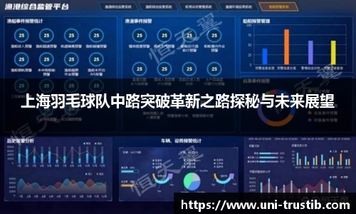上海羽毛球队中路突破革新之路探秘与未来展望