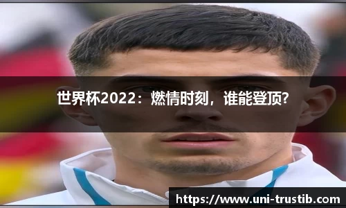 世界杯2022：燃情时刻，谁能登顶？