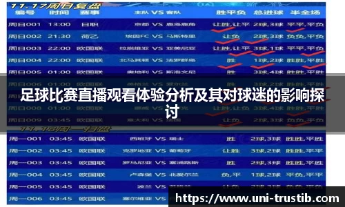 足球比赛直播观看体验分析及其对球迷的影响探讨