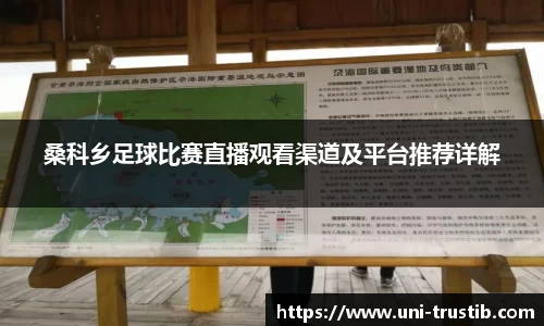 bwin必赢下载