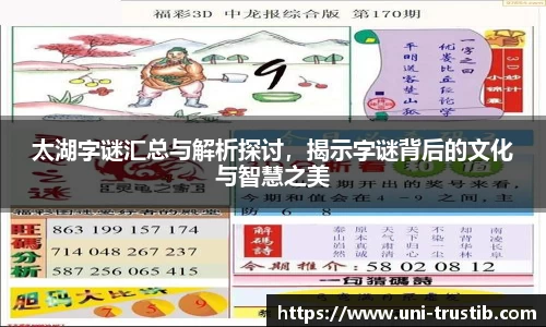 太湖字谜汇总与解析探讨，揭示字谜背后的文化与智慧之美